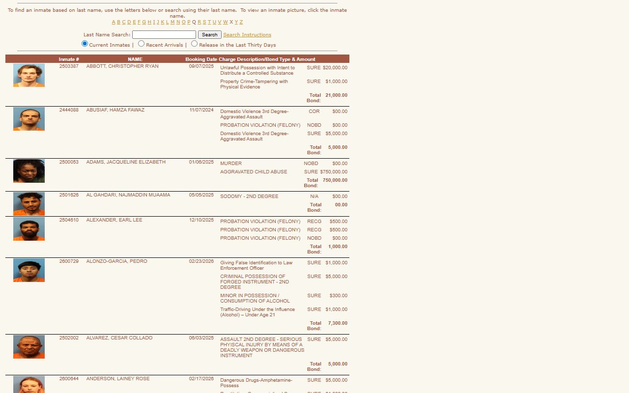 Jersey County jail tracker tool for booking release lookups